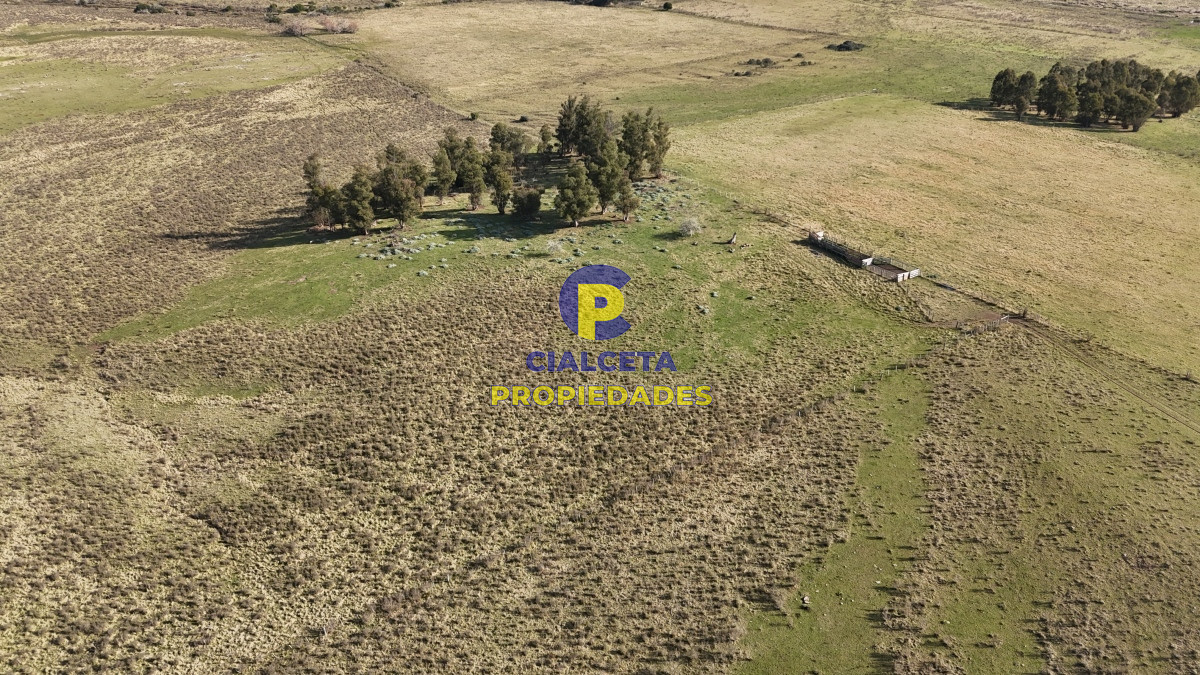 Campo Ref.497 - 40 hectáreas en Lavalleja a 10 km de Minas