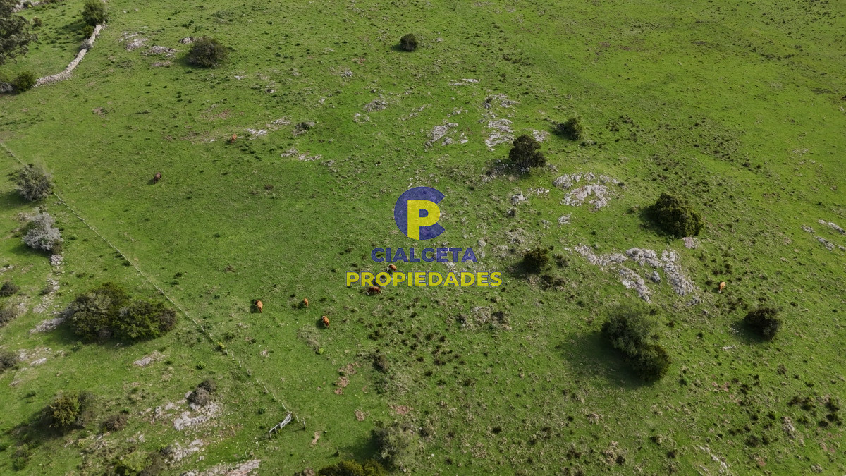 149 hectáreas con arroyo en Lavalleja - GoPunta - Portal Inmobiliario de Punta del Este - Maldonado