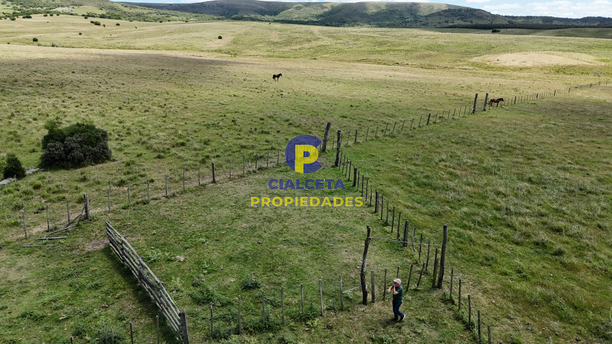 95 hectáreas ganadero forestal - GoPunta - Portal Inmobiliario de Punta del Este - Maldonado