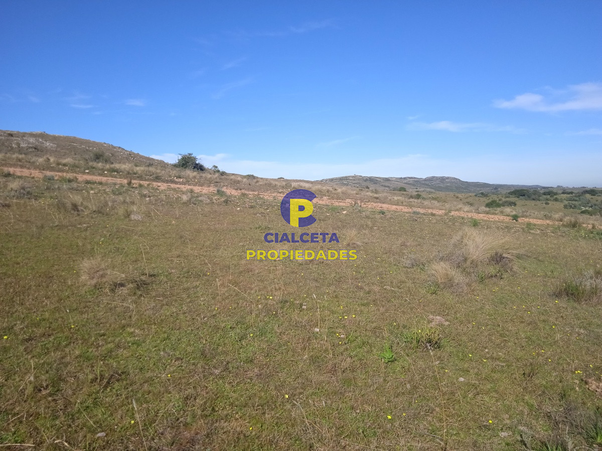 5 hectáreas, Las Palmas - GoPunta - Portal Inmobiliario de Punta del Este - Maldonado
