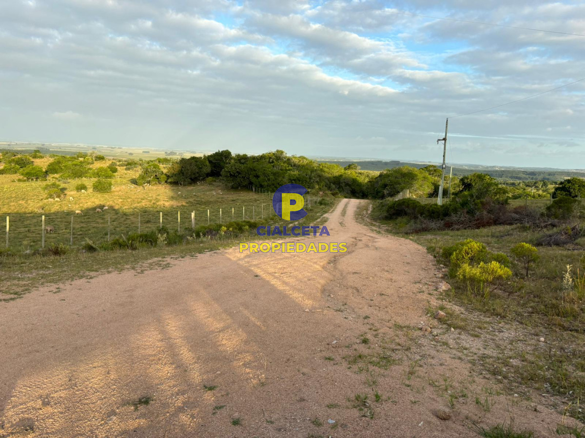 121 hectáreas en Rocha - GoPunta - Portal Inmobiliario de Punta del Este - Maldonado