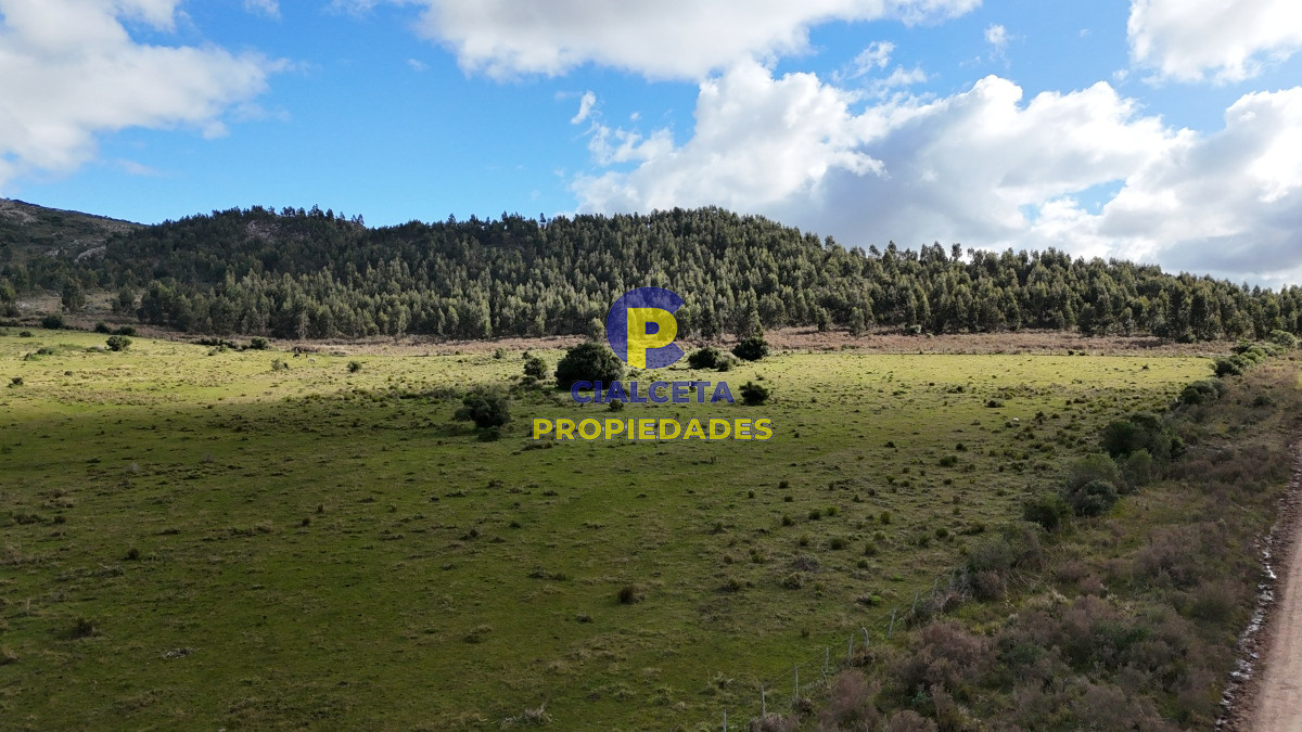 25 hectáreas con 7 mil metros en Lavalleja, con cañada - GoPunta - Portal Inmobiliario de Punta del Este - Maldonado