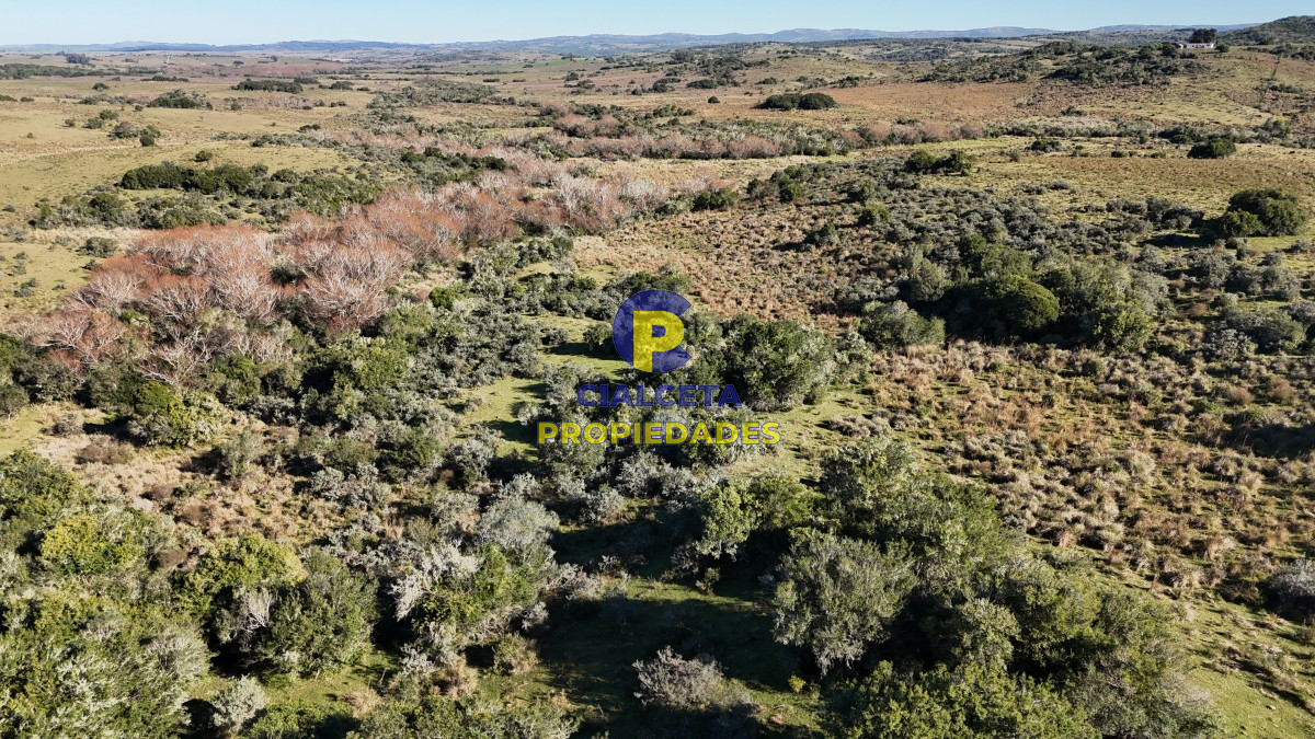 108 hectáreas a 12 km de Garzón, Maldonado - GoPunta - Portal Inmobiliario de Punta del Este - Maldonado