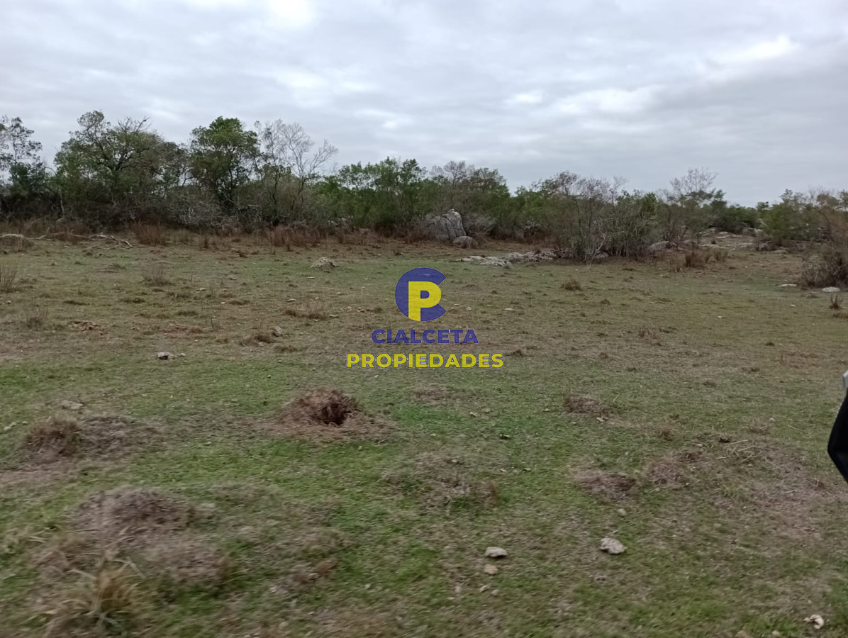 Campo Ref.217 - 664 hectáreas en Colonia