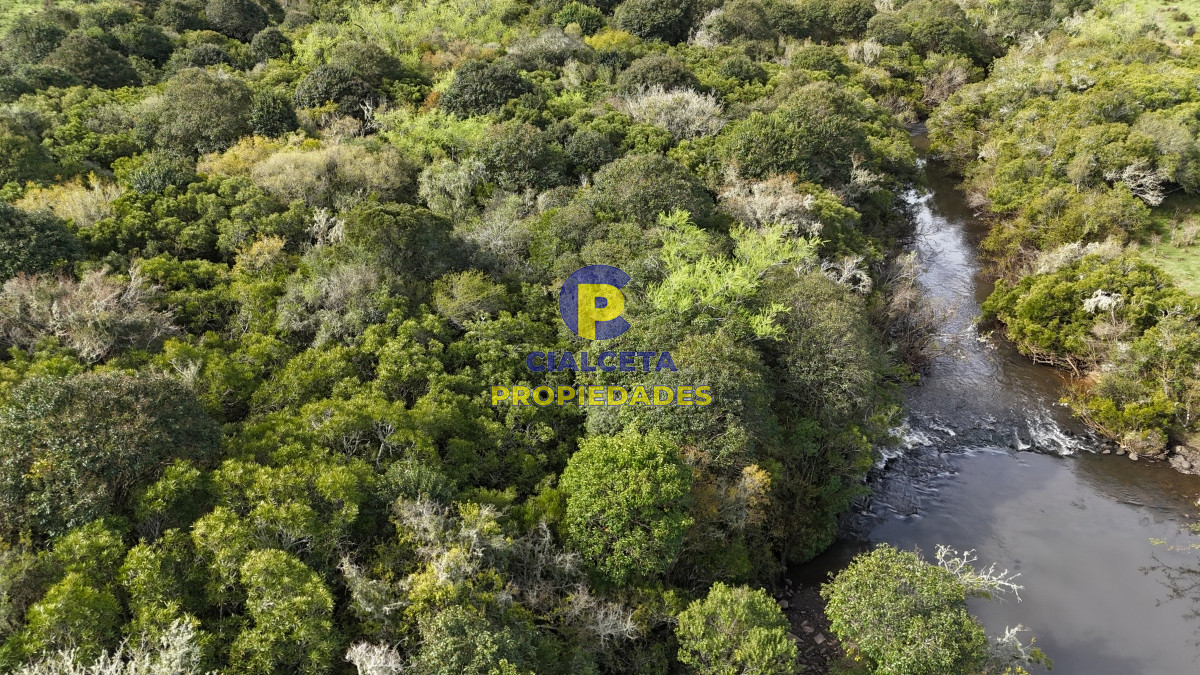 149 hectáreas con arroyo en Lavalleja - GoPunta - Portal Inmobiliario de Punta del Este - Maldonado