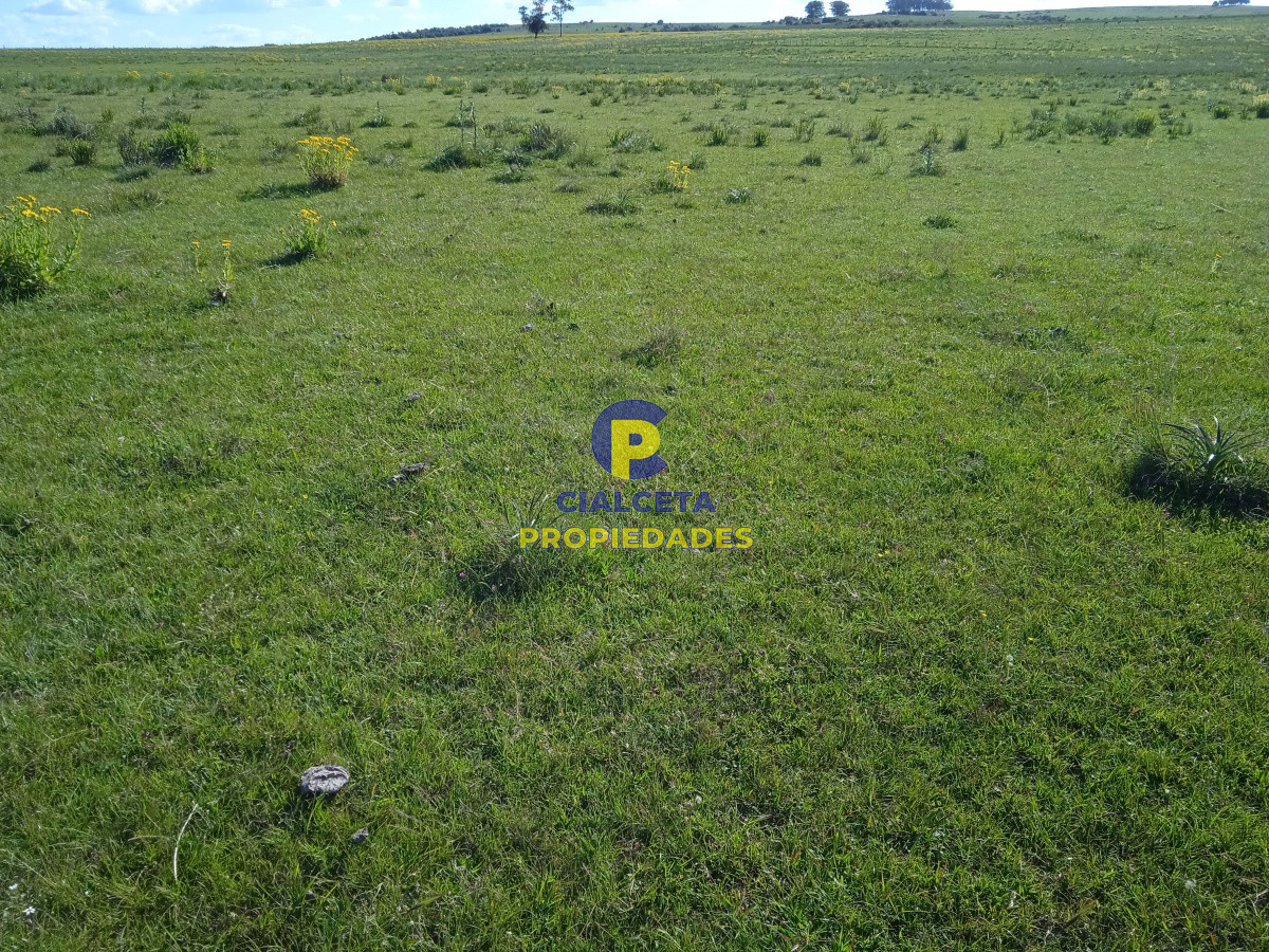 Campo Ref.95 - 202 hectáreas, campo bueno, natural