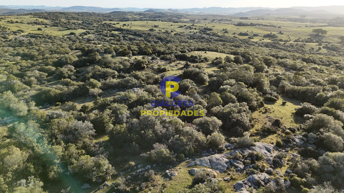 55 hectáreas con tajamar y monte nativo - GoPunta - Portal Inmobiliario de Punta del Este - Maldonado