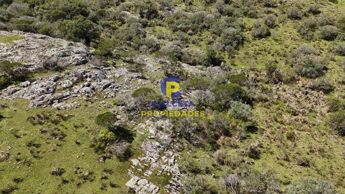 3 hectáreas con cañada a 25 km de San Carlos, financiadas - GoPunta - Portal Inmobiliario de Punta del Este - Maldonado