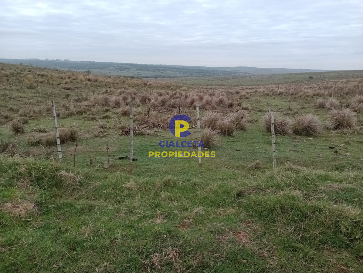 Campo Ref.217 - 664 hectáreas en Colonia