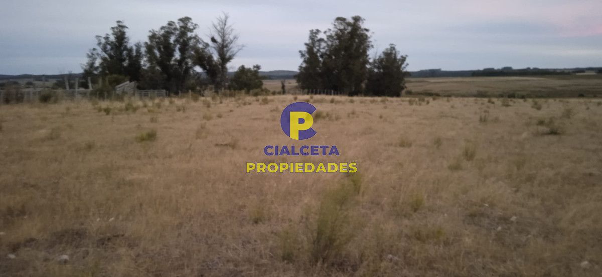 40 hectáreas en Lavalleja - GoPunta - Portal Inmobiliario de Punta del Este - Maldonado