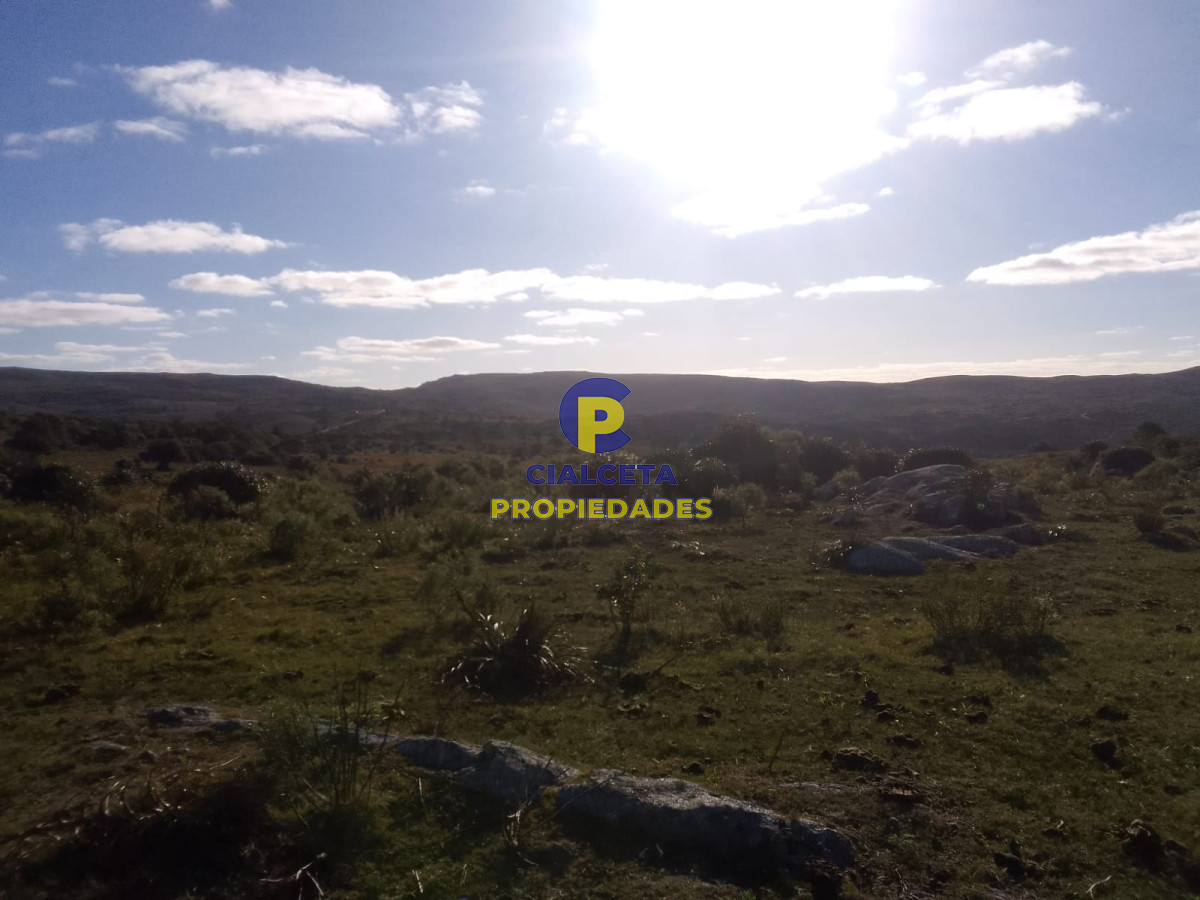 41 hectáreas y media en Maldonado, Aigua - GoPunta - Portal Inmobiliario de Punta del Este - Maldonado