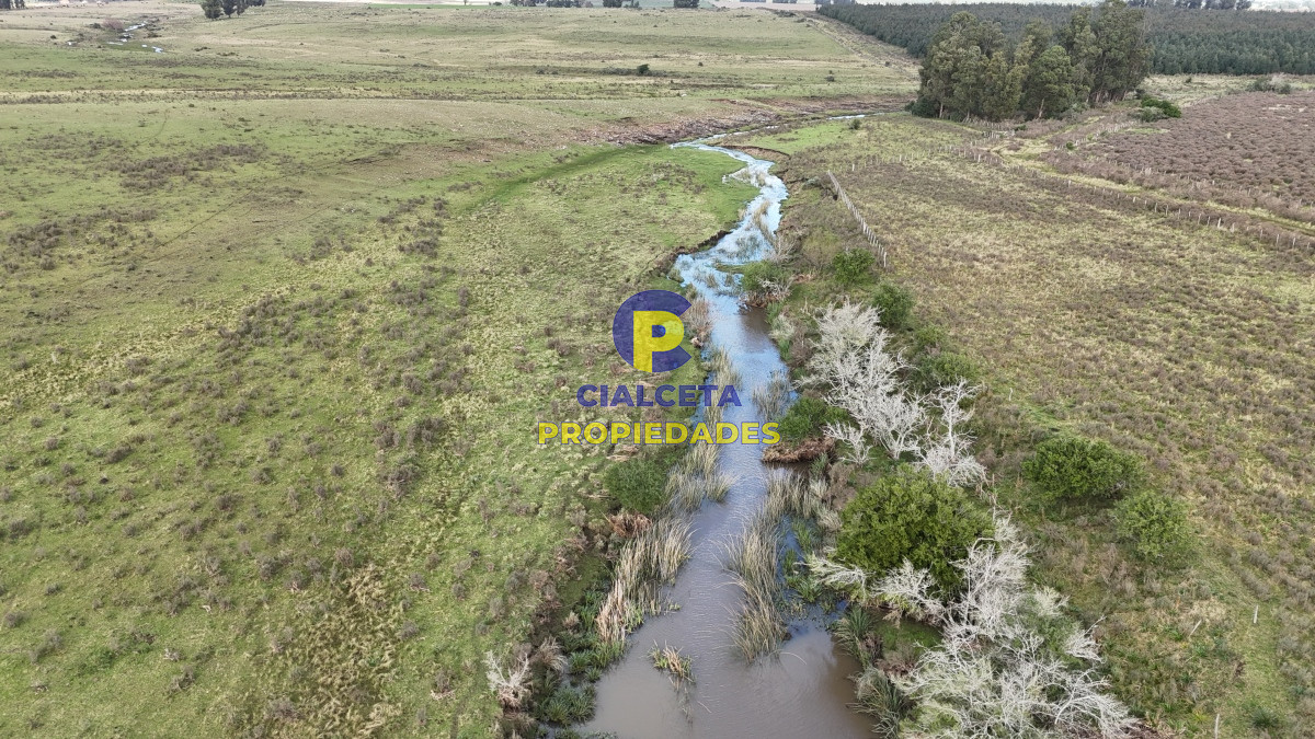 292 hectáreas a 120 km de Montevideo con arroyo - GoPunta - Portal Inmobiliario de Punta del Este - Maldonado