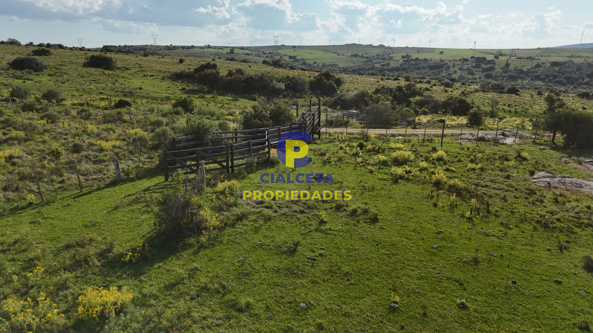 30 hectáreas a 35 km de San Carlos - GoPunta - Portal Inmobiliario de Punta del Este - Maldonado