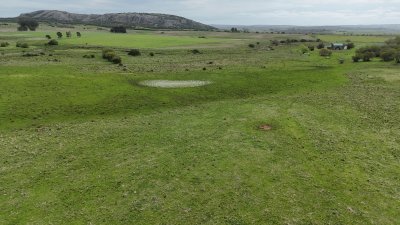 68 hectáreas y media en Valle Fuentes con 200 de coneat
