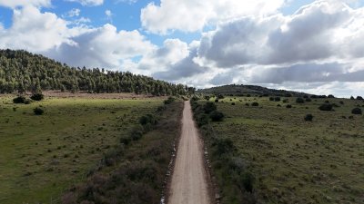 25 hectáreas con 7 mil metros en Lavalleja, con cañada