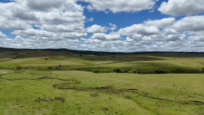 389 hectáreas ganaderas forestales