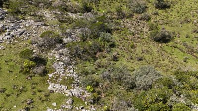 3 hectáreas con cañada a 25 km de San Carlos, financiadas