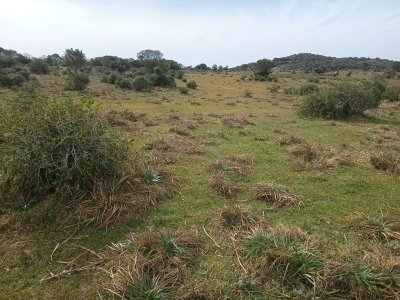 80 hectáreas en Maldonado