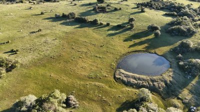 55 hectáreas con tajamar y monte nativo