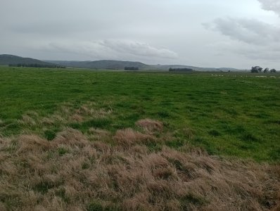 110 hectáreas agrícolas ganaderas