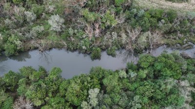 60 hectáreas con arroyo y cañada en Maldonado