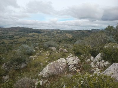 38 hectáreas en Aiguá