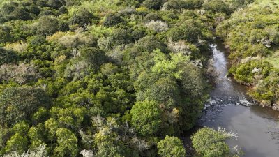 149 hectáreas con arroyo en Lavalleja