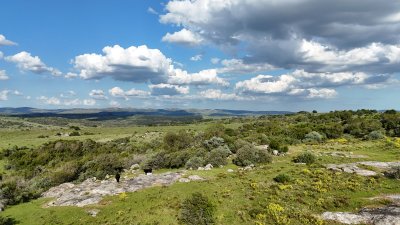 30 hectáreas a 35 km de San Carlos