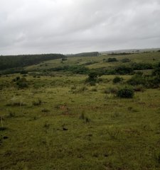 108 hectáreas a 12 km de Garzón