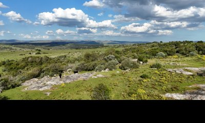 30 hectáreas a 35 km de San Carlos