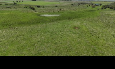 68 hectáreas y media en Valle Fuentes con 200 de coneat