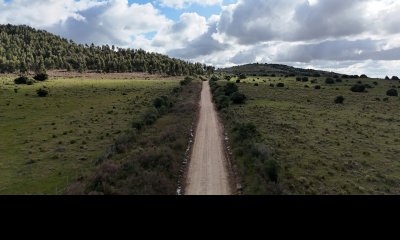 25 hectáreas con 7 mil metros en Lavalleja, con cañada