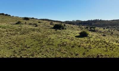 36 hectáreas en Lavalleja cerca de Aiguá