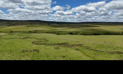 389 hectáreas ganaderas forestales