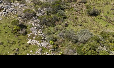 3 hectáreas con cañada a 25 km de San Carlos, financiadas