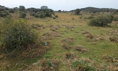 80 hectáreas en Maldonado