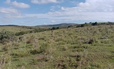 490 hectáreas en Maldonado