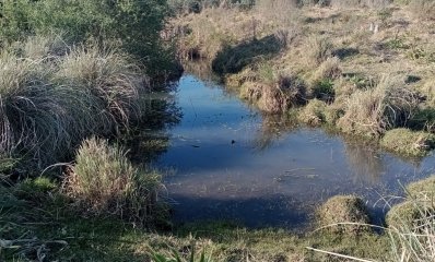 82 hectáreas en Pueblo Edén