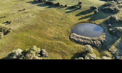 55 hectáreas con tajamar y monte nativo