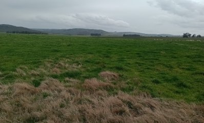 110 hectáreas agrícolas ganaderas