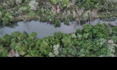 60 hectáreas con arroyo y cañada en Maldonado