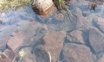 106 hectáreas en lavalleja