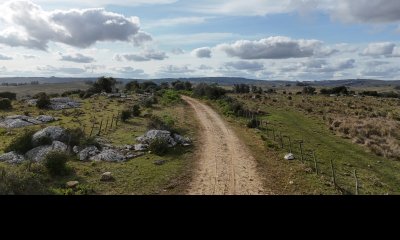 95 hectáreas en Maldonado con cañada