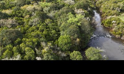 149 hectáreas con arroyo en Lavalleja