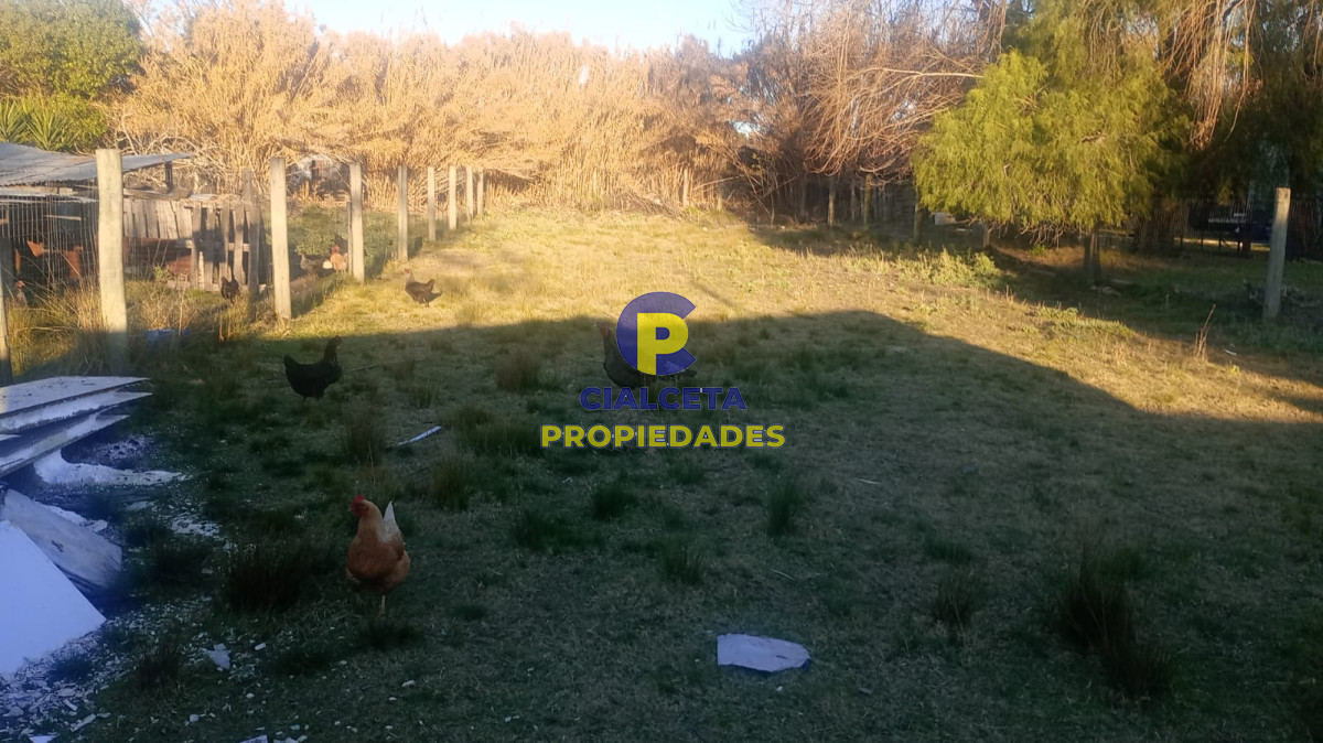 Local Comercial ID.580 - Local comercial en Montes, el mejor