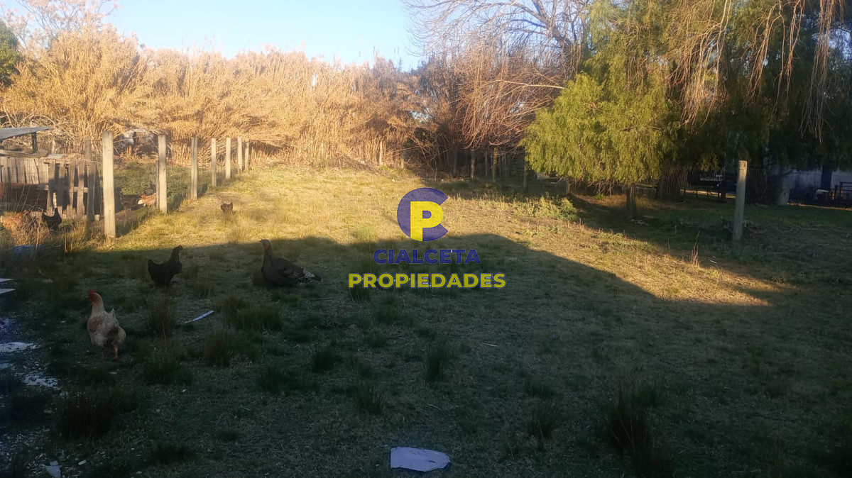 Local Comercial ID.580 - Local comercial en Montes, el mejor
