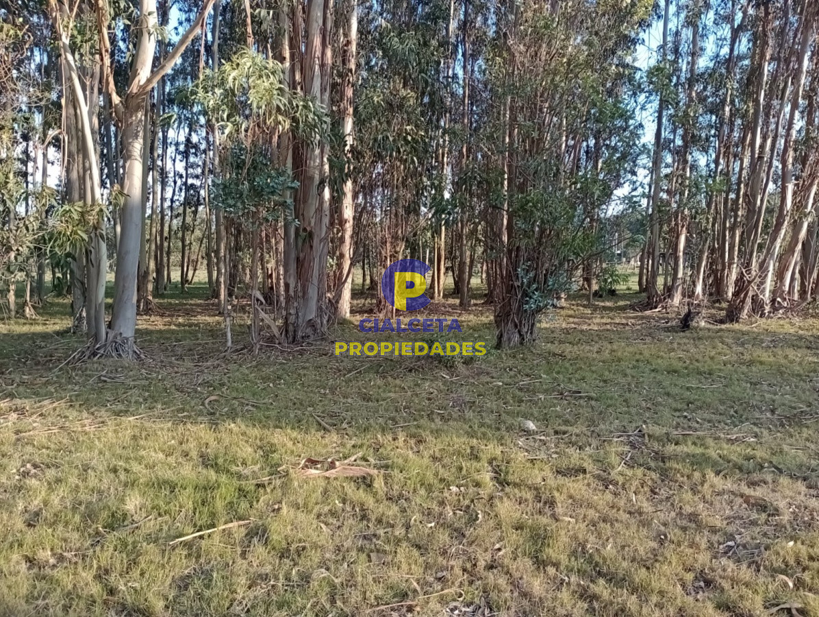 Terreno ID.238 - Terreno en San Sebastian