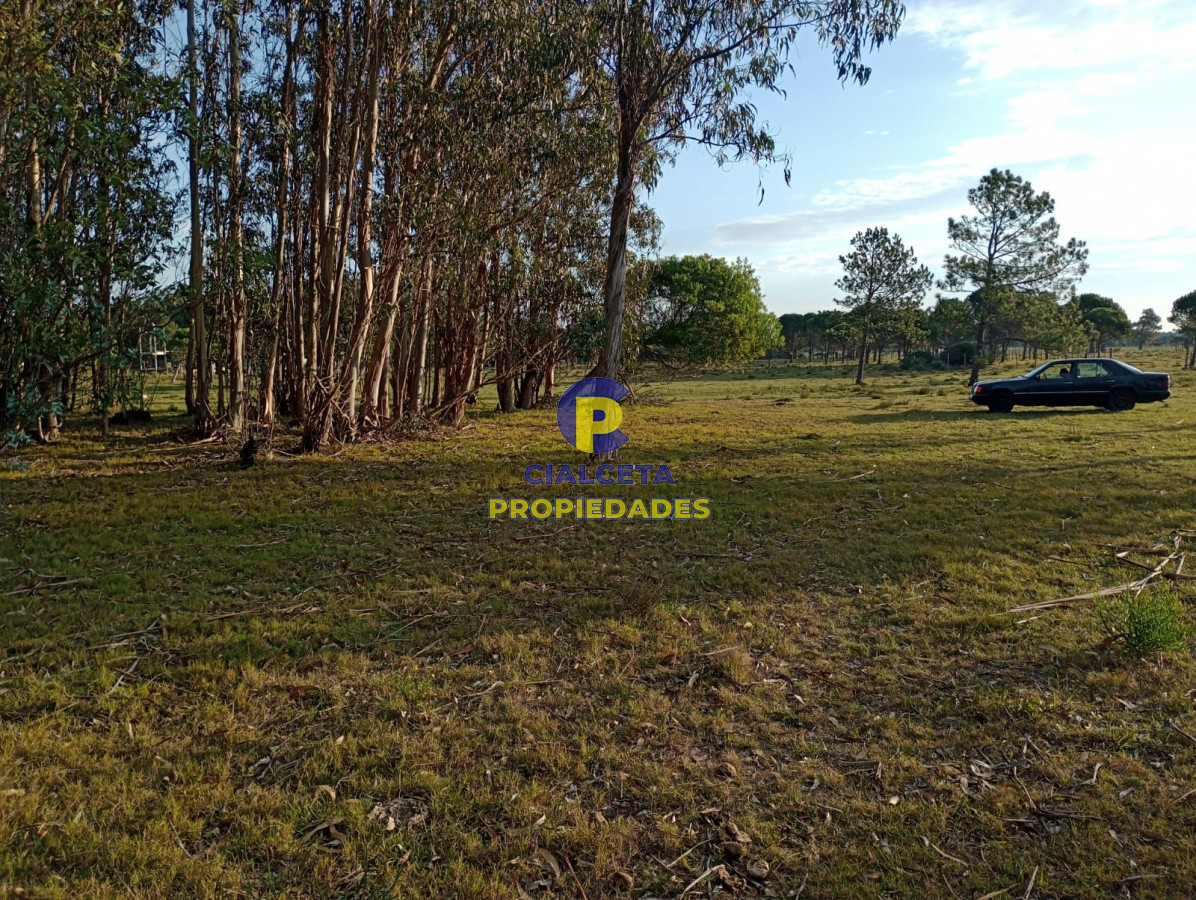 Terreno ID.238 - Terreno en San Sebastian