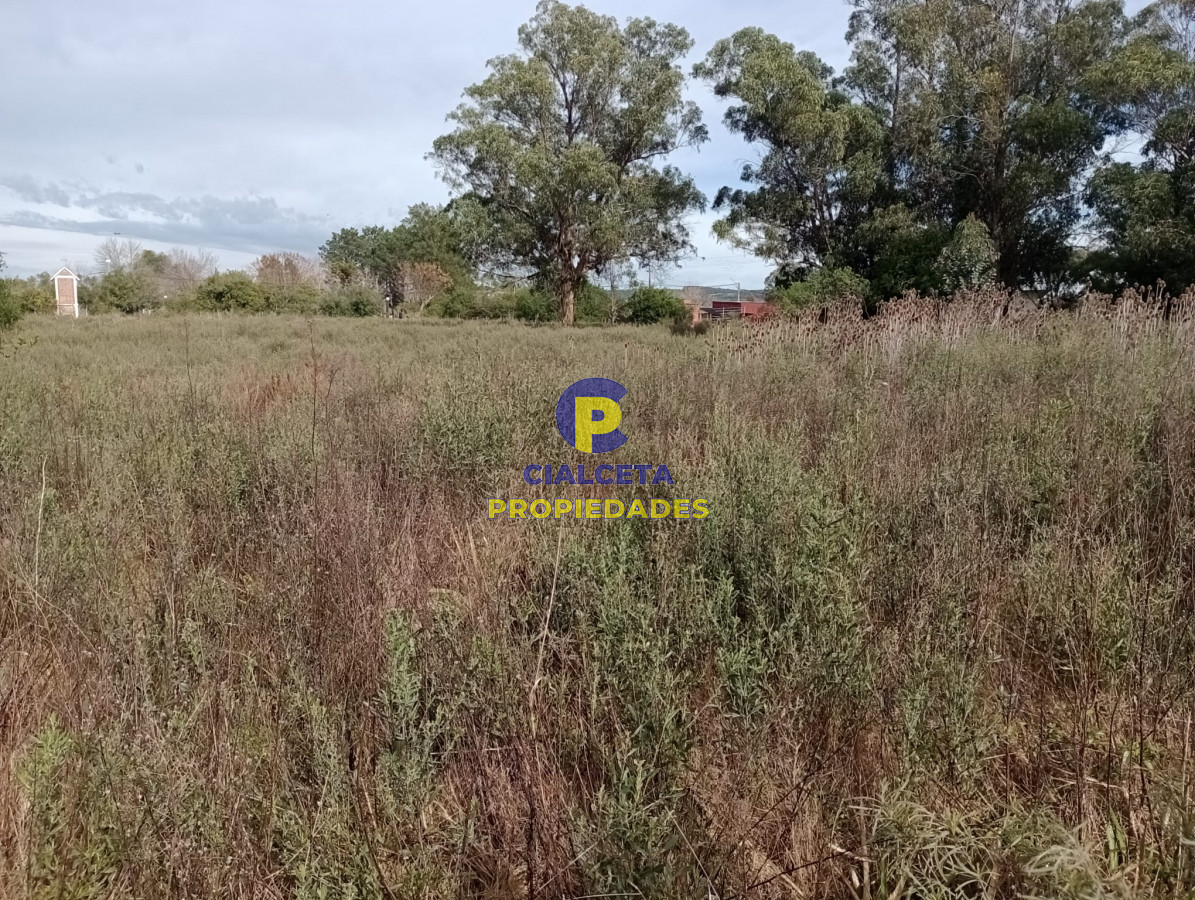 Terreno ID.297 - Terreno en Pueblo Edén