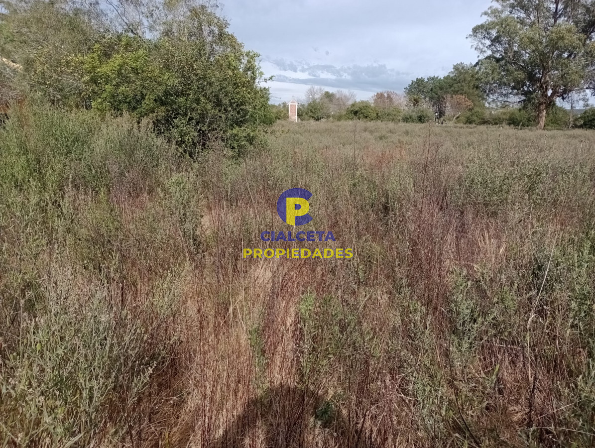 Terreno ID.297 - Terreno en Pueblo Edén